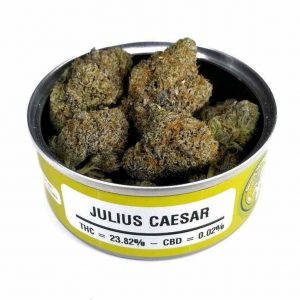 JULIUS CAESAR WEED STRAIN