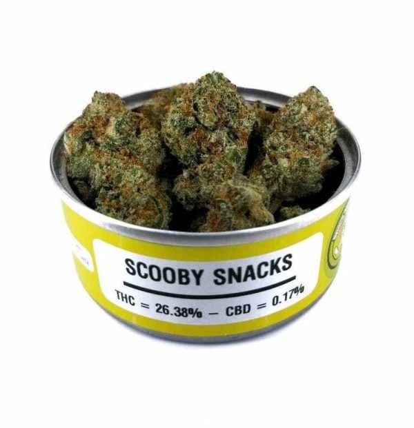 SCOOBY SNACKS WEED