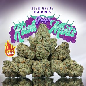 Kush Mints Weed strain