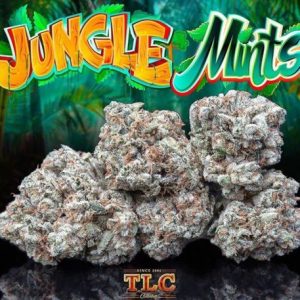 Jungle Mints Strain