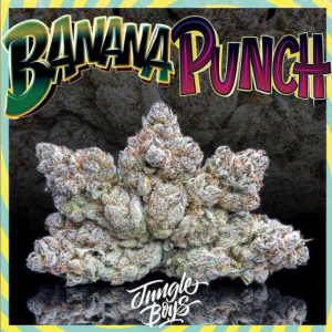 Banana Punch Strain (Jungle Boys)