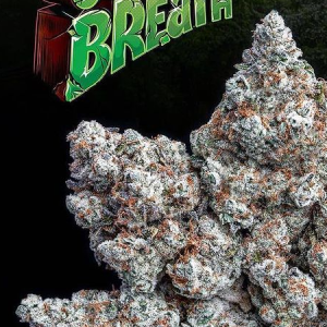 Jungle Breath Strain