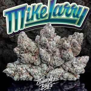Mike Larry Strain